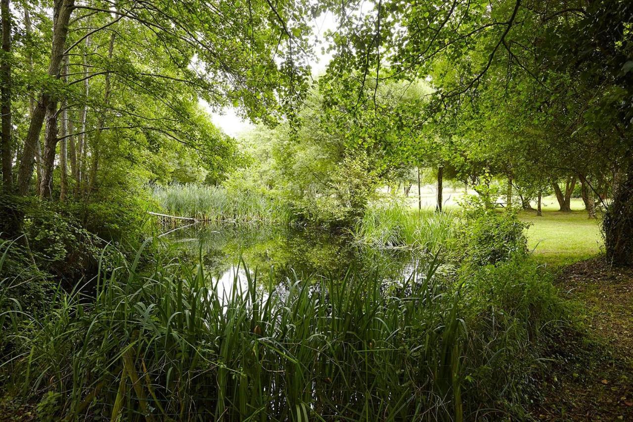 Un Petit Coin De Campagne Dans Le Pays De Saint-Gilles Villa Eksteriør billede